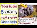 5 YouTube Channels Which are Hard to Explain - Reality Tv