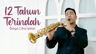 12 TAHUN TERINDAH - Bunga Citra Lestari (Saxophone Cover by Desmond Amos)