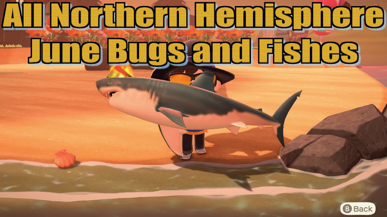 Animal Crossing New Horizons Northern Hemisphere June Bugs and Fishes