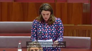 Youth Voice in Parliament campaign: Senator Sarah Hanson Young amplifying Chloe's voice on climate