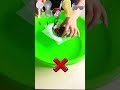 TRY TYO GUESS HOW MANY TISSUE WILL FLOAT ?#experiment #asmr #satisfying #foryou
