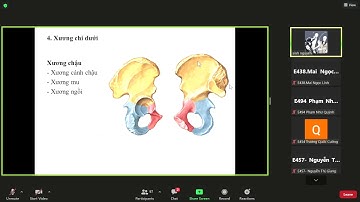 Lí thuyết giải phẫu 3_Hệ xương khớp