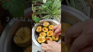 Stuffed Mango 🥭 Pickle Recipe|#ytshorts |#homemadecooking |#picklerecipe |#summershorts