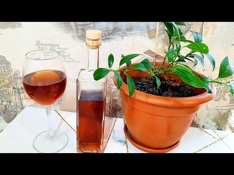 Настойка на Изюме все знакомые просят еще!Изюмовка или Каразюм