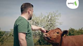 Aus Liebe Zur Qualität Johannes Müllner - Category Manager Fleisch Fisch Bei Gurkerl.at