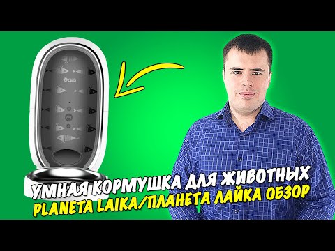 Обзор на умную кормушку Planeta Laika /Планета Лайка