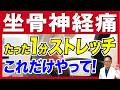 坐骨神経痛は1分で消える！整形外科医が教える「奇跡のストレッチ」