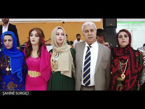 Şahine Surguçi & Azad Salıh New Cidi Govend Aşiret Düğünü 2020 Lara Düğün Salonu