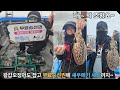 5월16일 봄(산란)갑오징어  출조 대~박조황요~^^  (장원 대포알9마리 무료승선권. / 2등 대포알8마리)