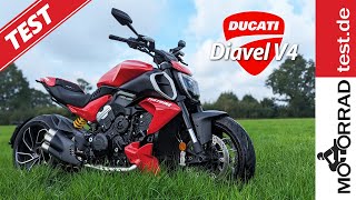 Ducati Diavel V4 | Test des neuen Power-Cruisers aus Bologna 2023