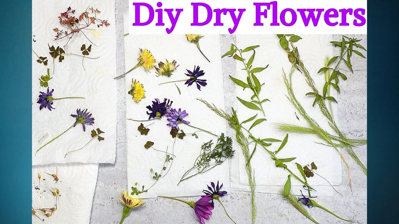 MICROWAVED FLOWERS? How to use a microwave flower press to dry or pre-dry  fancy flowers, by sarakaye