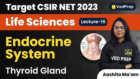 Thyroid Gland | Endocrine System | CSIR NET 2023 Life Sciences | VedPrep Biology Academy