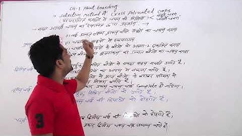 12th Ag.procedure of simple recurrent selection