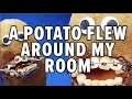 Fruit Surgery - Potato takes flight! Discount Dentist Ep 9 #Shorts