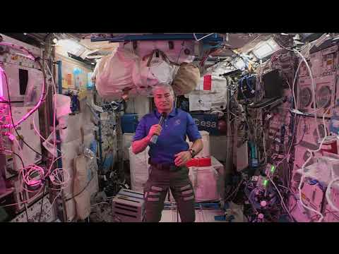 NASA Astronaut Mark Vande Hei on setting the record for longest single spaceflight for an American