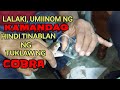 Lalaki umiinom ng kamandag hindi tinablan ng tuklaw ng cobra