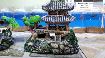 CẢNH NÚI TRANG TRÍ HỒ CÁ NON BỘ