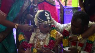 Selvarasu Kalaivani Traditional Wedding