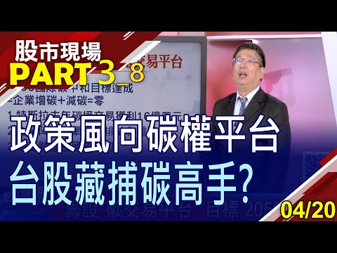 【全世界最會賣碳權的人?連蘋果也拚2030碳中和!曝隱形碳權2大戶?電動車概念股砸錢跟進?】20230420(第3/8段)股市現場*鄭明娟(黃靖哲)