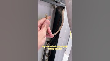 Máy giặt bị lỗi nước chảy tràn do đường ống cảm biến mực nước và giải pháp #teoemthonha #maygiat