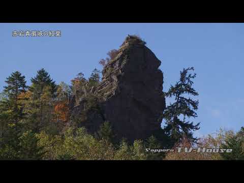 赤岩青巌峡の紅葉 Autumn leaves of Akaiwa Seigan-kyo  4K(UHD)
