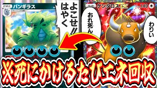 Urgent] If you gather energy for Tyranitar and escape before your