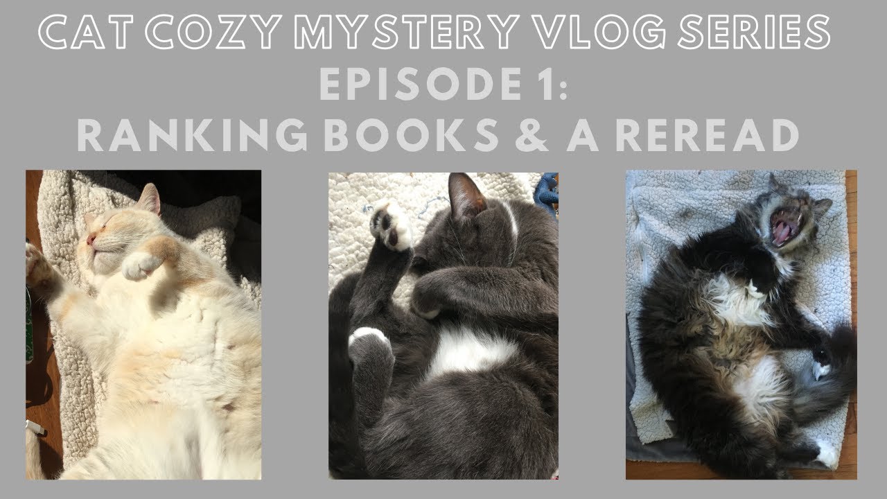 Cat Cozy Mystery Reading Vlog | New Series, Episode One | Cat Stats, Most Famous Cat Detective Book?