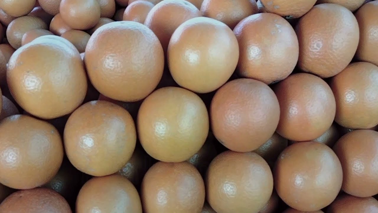 how to make a trailer/ village beauty kpk trailer