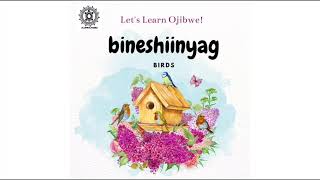 Let’s learn Anishinaabemowin- Spring