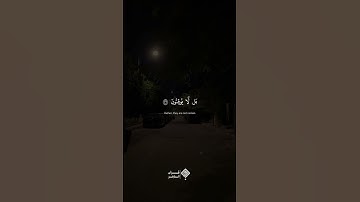 ام خلقوا من غير شيء | تلاوة تهز القلوب بصوت المنشاوي - مقام نهاوند