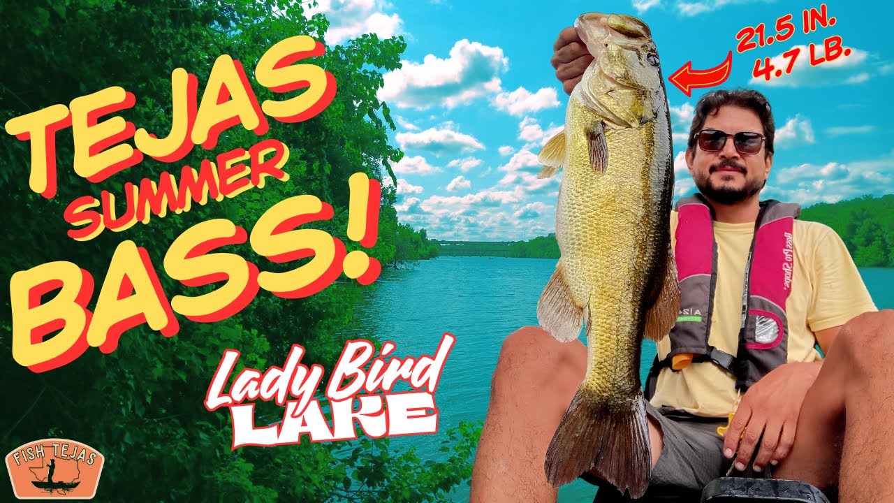 Central TX Bass Fishing! BIG BASS IN AUSTIN, TEXAS!@FishTejas #fishing #bassfishing #kayakfishing