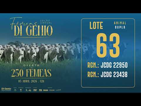 LOTE 63 JCDG 22950 23438