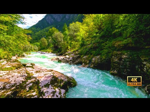 Forest River Nature Sounds-Mountain Stream Waterfall-8 Hr Relaxing Birds & Water Sounds for Sleeping