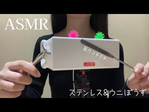 【ASMR】耳介をステンレスとウニぼうずでミチミチ耳かき【SR3D】/Ear cleaning/No Talking