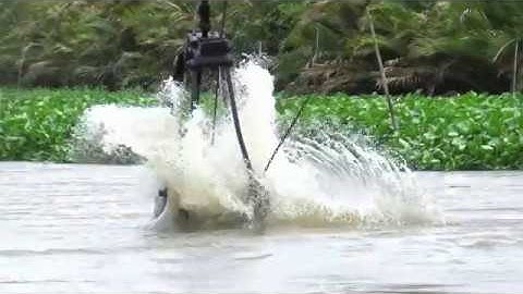 VẬN HÀNH SÁNG CẠP BỰ DI CHUYỂN TRÊN SÔNG - SÁNG CẠP BƠI PHÀ NHƯ THẾ NÀO - #DUCNHA