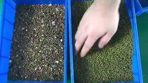 color sorter mung beans