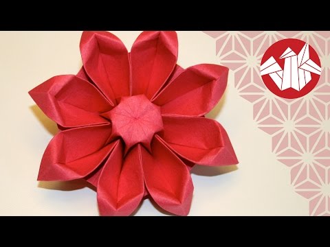 Flower Origami Tutorial - Gerbera [Senbazuru]