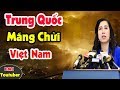 Tin Tức Nhanh và Chính Xác Nhất Ngày 8/5/2021/Tin Nóng Chính Trị Việt Nam và Thế Giới