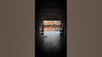 القرآن📖الكريم سورة الحشر بصوت🔊القارئ ماهر المعيقلي