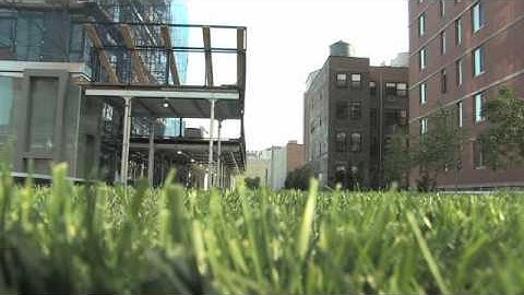 High Line Section 2 opens