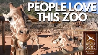 Discover Cheyenne Mountain Zoo: Make the Most of Your Visit