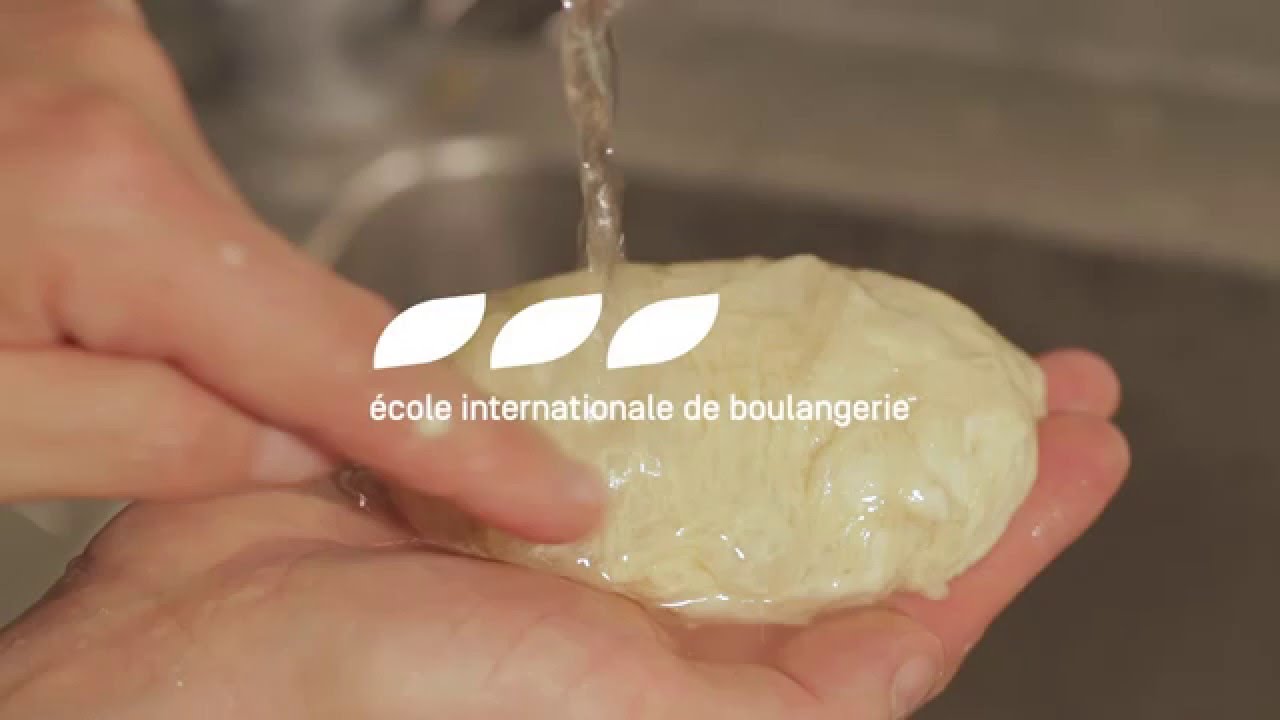 004 EIDB Le réseau de gluten