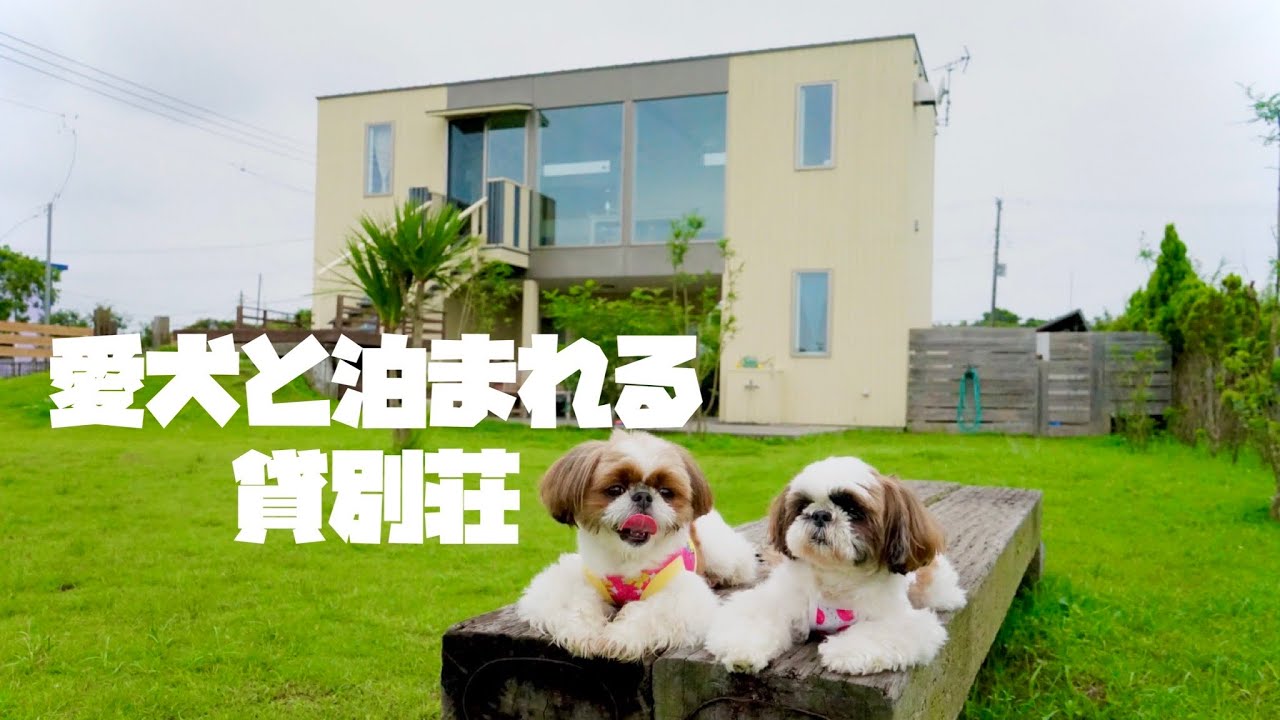 【犬連れ旅】ドッグコテージ海の音さんが最高過ぎた！！