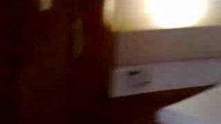 Phantom 385