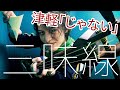 津軽じゃない三味線を買った理由！【初心者】