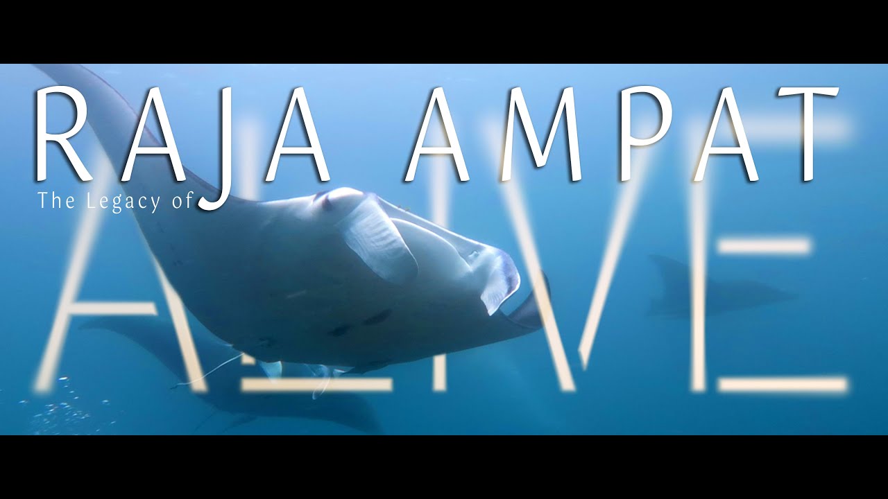 Raja Ampat Liveaboard Diving 2023