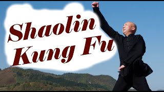 Shaolin Kung Fu Basic Training for Adults - Session 3 screenshot 4