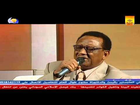 محمد ميرغني أنا و الأشواق