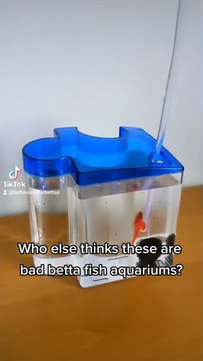 These under 1 gal aquariums are marketed specifically for bettas (they need 5 gal, filter & heater)