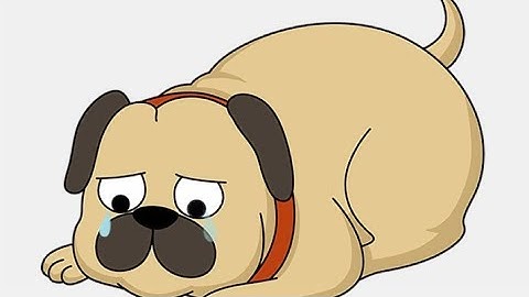 Brain Out 2 Level 193 Walkthrough solutions Gameplay